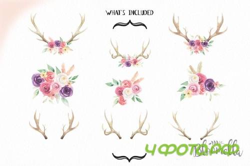 Watercolor Antlers Feather Flowers - 2319632