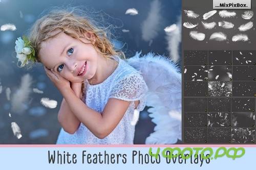 White Feathers Overlays 2982738