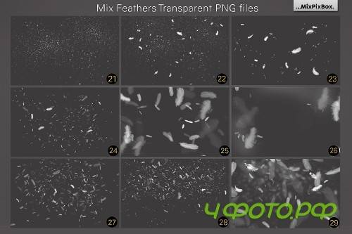 White Feathers Overlays 2982738