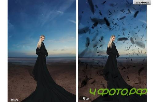 Black Feathers Overlays - 3034616