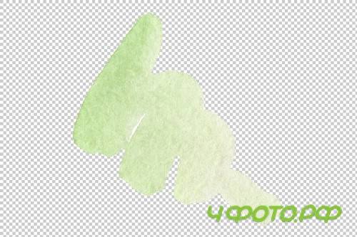 Wildflower burgundy Brugmansia PNG - 3054181
