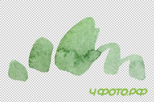 Flowers set PNG watercolor - 3050283