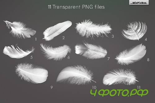 White Feathers Overlays 2982738
