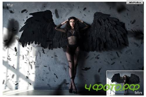 Black Feathers Overlays - 3034616