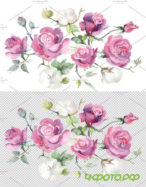 Bouquet with pink roses and cotton - 3655890