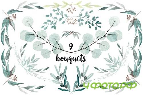 Eucalyptus Watercolor Set - 1495092