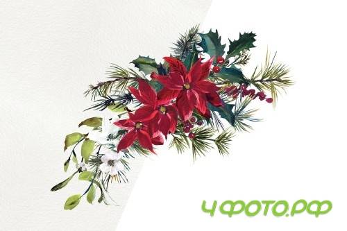 Watercolor Poinsettia Christmas Clipart - 3092253
