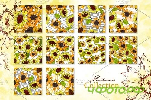 Sunflower Vector Collection - 3682058 -