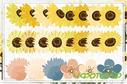 Sunflowers Flower Vector & Clipart 3681556