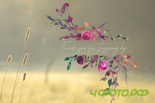 Watercolor Fall Twigs Herbs Flowers - 3080284