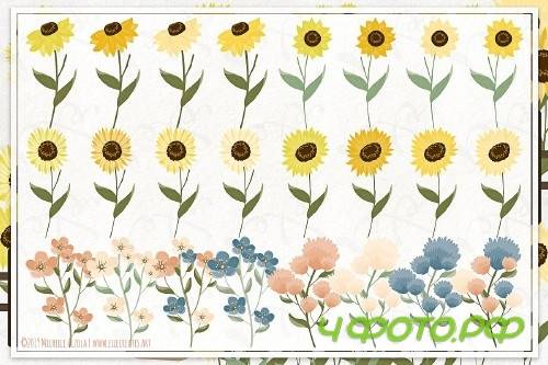 Sunflowers Flower Vector & Clipart 3681556