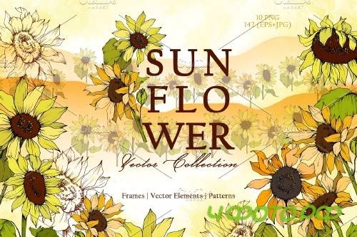 Sunflower Vector Collection - 3682058 -