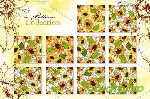 Sunflower Vector Collection - 3682058 -