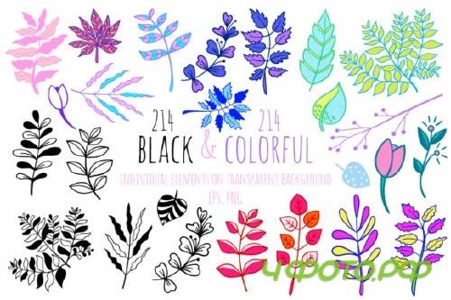 Botanical Design Set