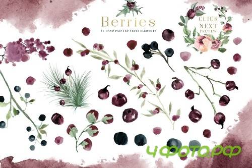 Plum Christmas Watercolor Clipart - 3120446