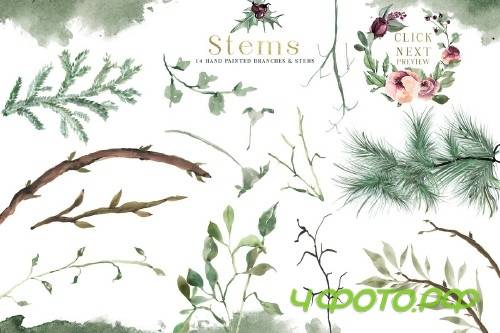 Plum Christmas Watercolor Clipart - 3120446