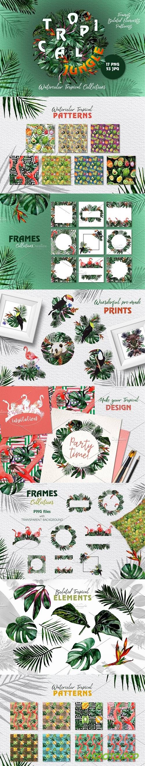 Tropical Jungle Watercolor png - 3720149