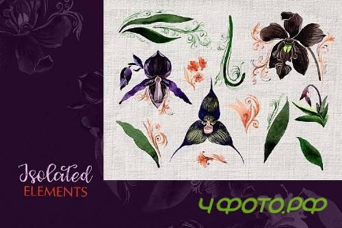 Orchid Black Watercolor Png - 248424