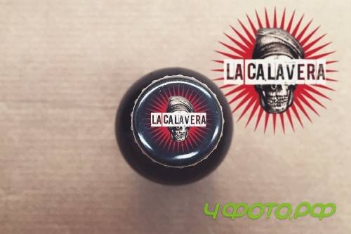 Beer Cap | Logo - 248353