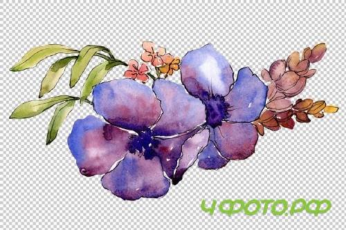 Aquarelle bouquet PNG set - 3100236