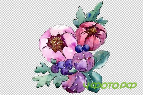 Aquarelle bouquet PNG set - 3100236