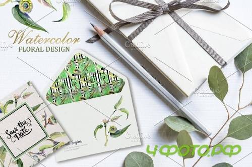 Eucalyptus Watercolor png - 3728302