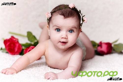 Neo Bambino Theme Color Grading Photoshop Actions - 250067