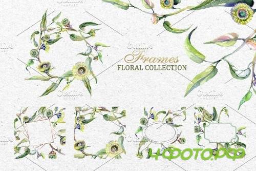 Eucalyptus Watercolor png - 3728302