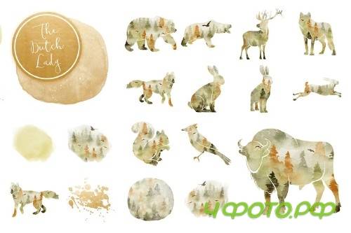 Forest Animal Boho Autumn Clipart - 3729058