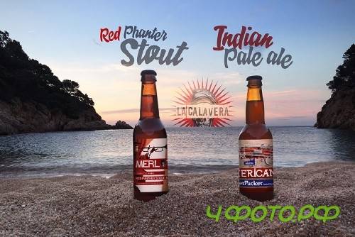 Sunset Beach 4 in 1 | Beer Mockup - 365453