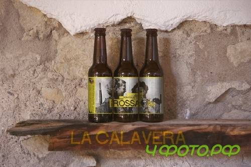 Cave Entire Label | Beer Mockup - 252770 Cave Entire Label | Beer Mockup - 252770