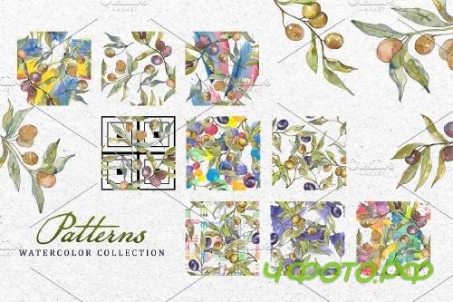Tasty olives watercolor png - 3728330
