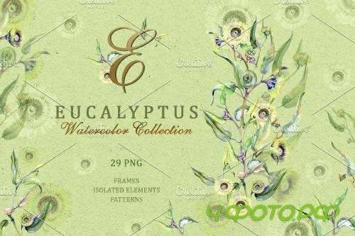 Eucalyptus Watercolor png - 3728302