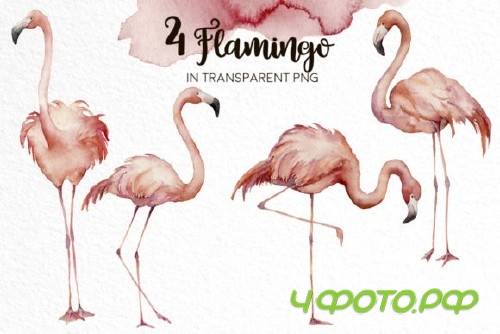 Flamingo. Watercolor collection - 2676681