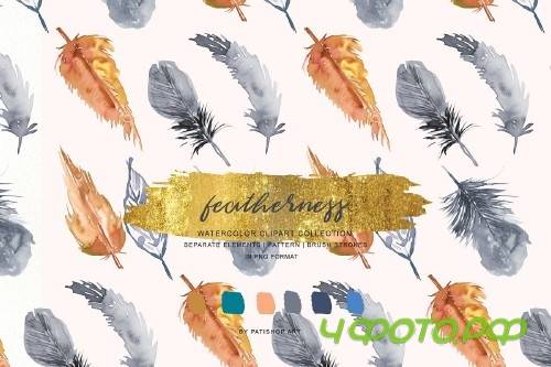 Watercolor & Gold Feather Clipart - 3736999
