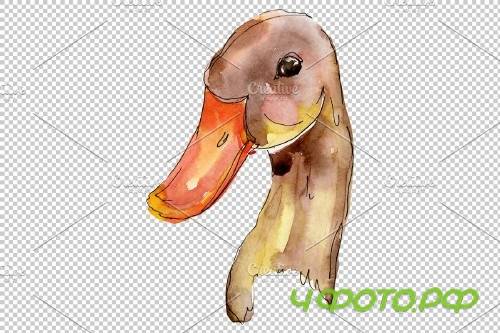 Farm animals: duck head Watercolor - 3742687