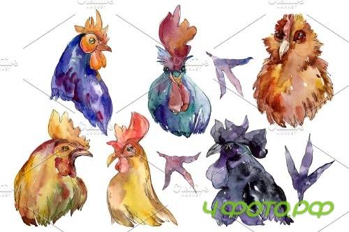 Farm animals: cock/hen head - 3742171