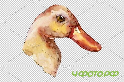 Farm animals: duck head Watercolor - 3742687