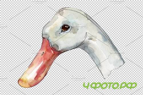 Farm animals: duck head Watercolor - 3742687