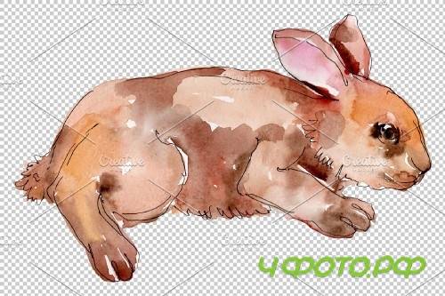 Farm animals: rabbit Watercolor png - 3742247