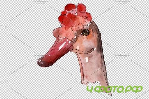 Farm animals: duck head Watercolor - 3742687