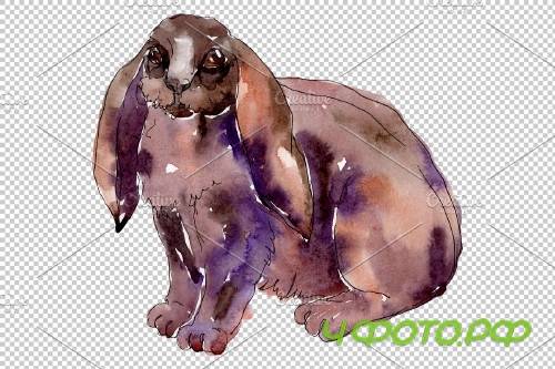 Farm animals: rabbit Watercolor png - 3742247