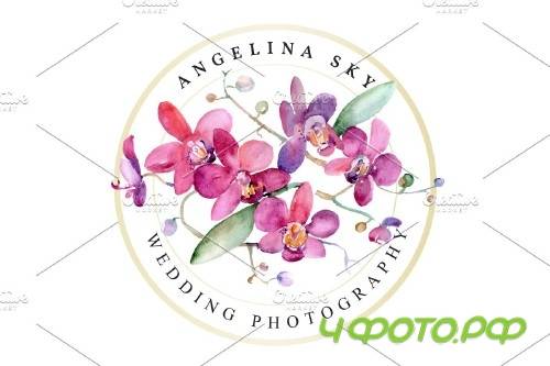 LOGO with pink orchids Watercolor PNG - 3741250