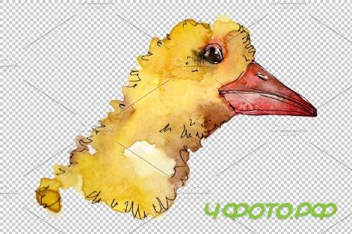 Farm animals: duck head Watercolor - 3742687