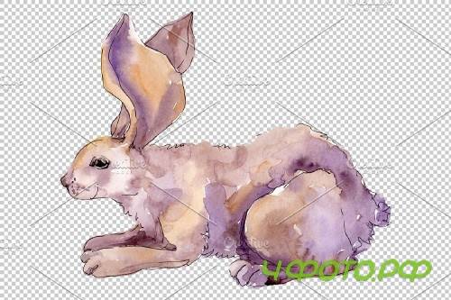 Farm animals: rabbit Watercolor png - 3742247