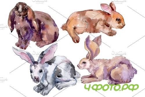 Farm animals: rabbit Watercolor png - 3742247