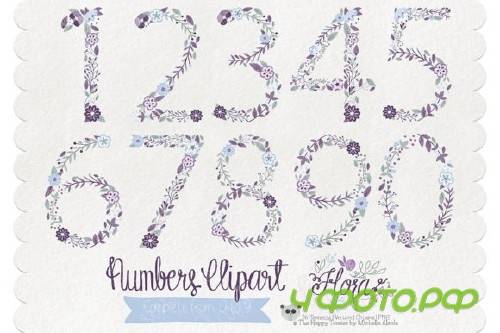 Flora 01 Numbers � Purple & Pink
