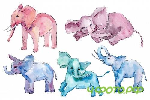 Baby elephant for baby shower cards Watercolor png - 253440
