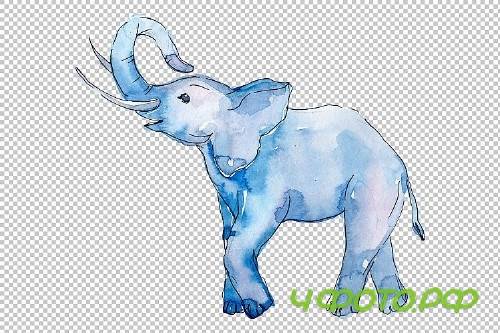 Baby elephant for baby shower cards Watercolor png - 253440