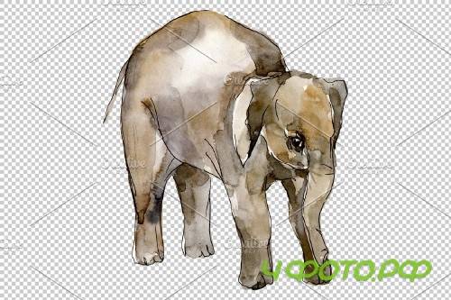 Elephant Watercolor png - 3743682